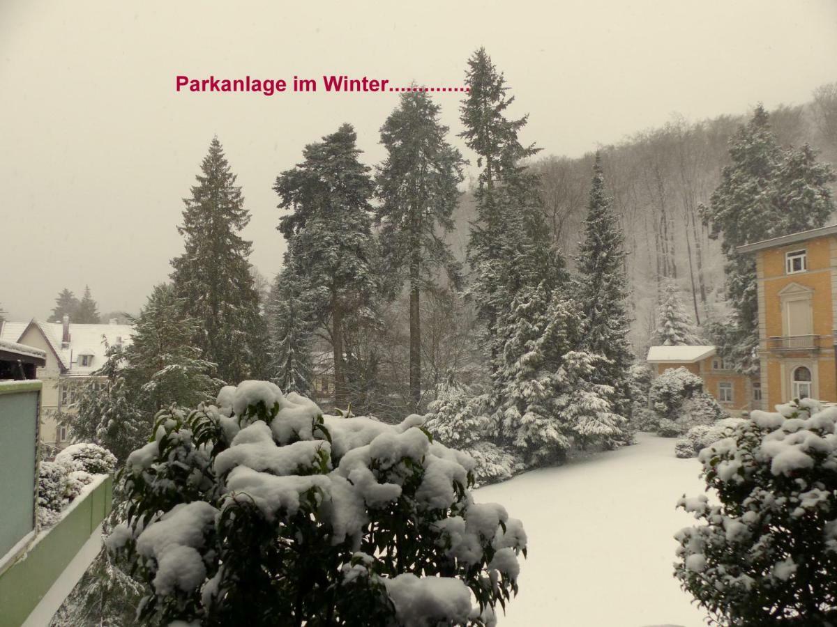 Fewo Parkblick Mit 2 Baedern 바트하르추부르크 외부 사진